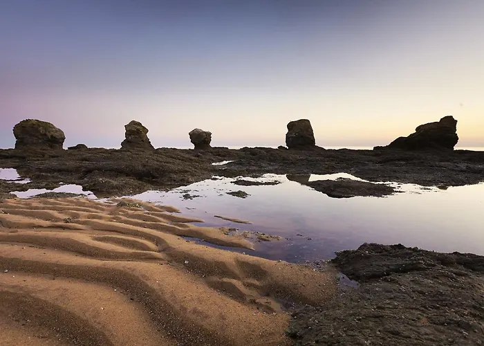 Le Des Nenuphars * 생 힐레르 드 리에