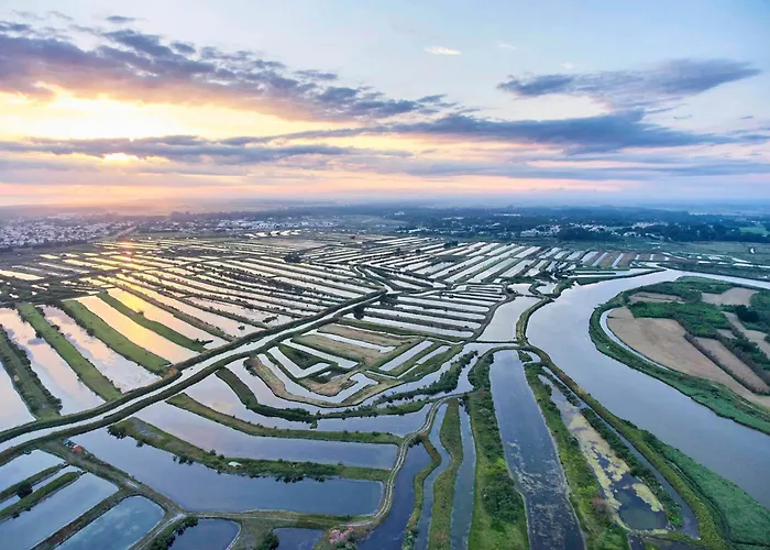 아파트 Le Des Nenuphars