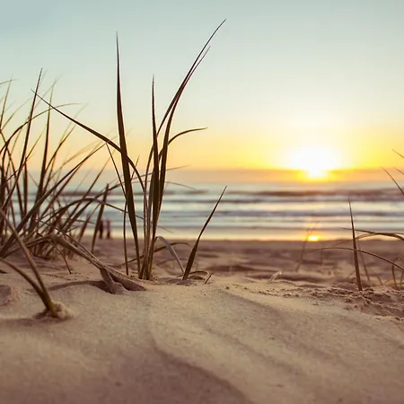 Le Des Nenuphars * سا يْليرْ دو ري