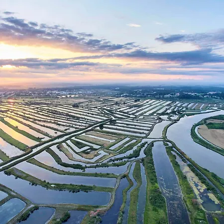 شقة Le Des Nenuphars