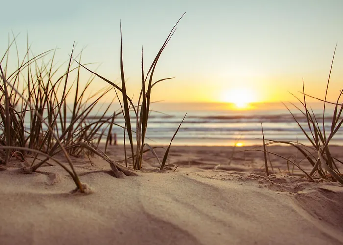 Le Des Nenuphars * Saint-Hilaire-de-Riez